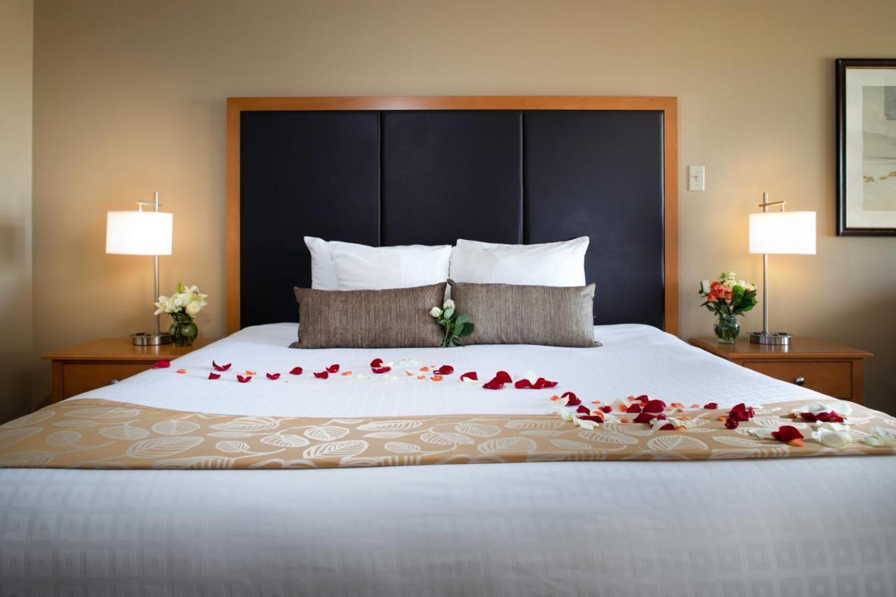 Western Ocean View 3*